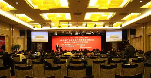 中关村互联网文化创意产业园董事长齐康丞 在第十一届北京文博会上谈互联网文化服务的创新与未来